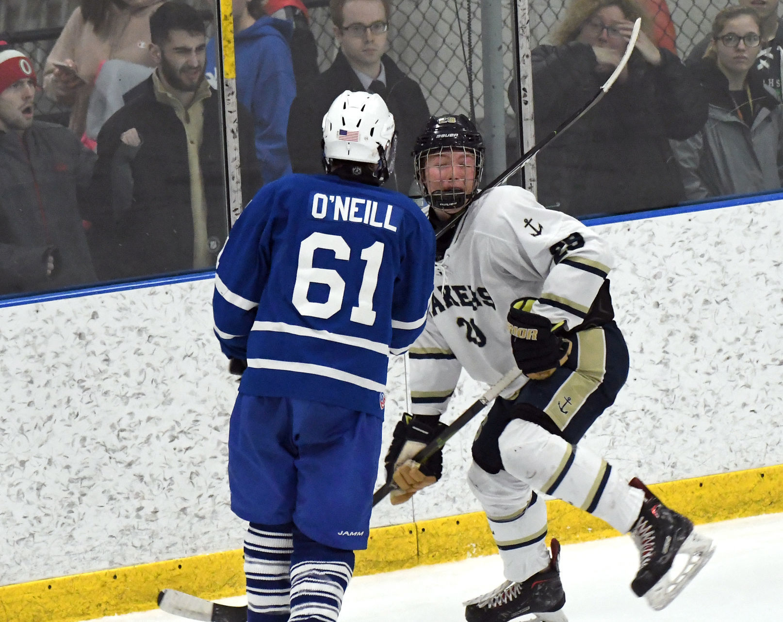 Skaneateles Grand Island 19.JPG